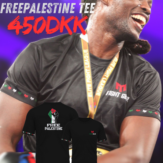 Palestine t-shirt